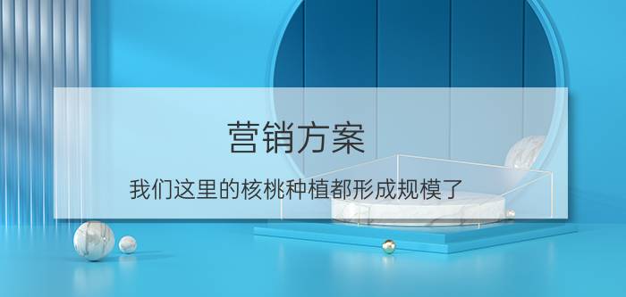 营销方案 我们这里的核桃种植都形成规模了，销售成了难题，怎么销售出去？